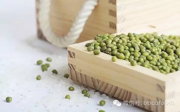 夏季养生有绿豆 用途多多你可要吃懂了