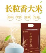 长粒香米 10斤